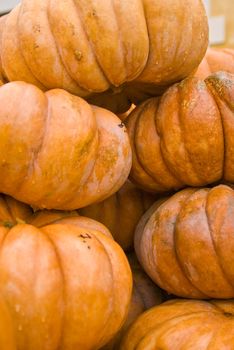 colorful pumpkins stacked for buyers