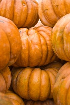 colorful pumpkins stacked for buyers