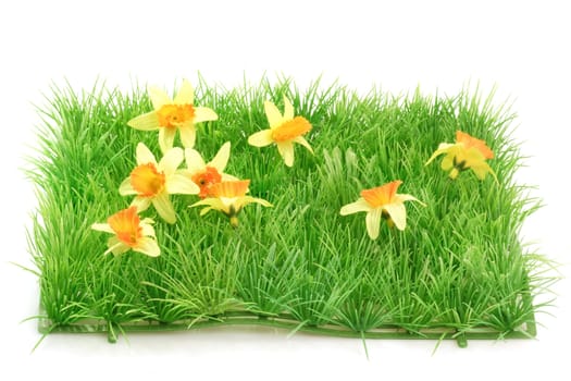 Decorative grass meadow on bright background