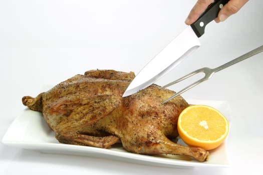 Fresh roasted duck on bright background