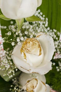 White roses bouquet close-up.