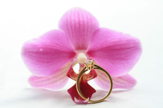 A diamond solitaire engagement ring with a pink orchid