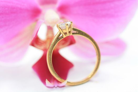 A golden diamond engagement ring in front of a pink orchid