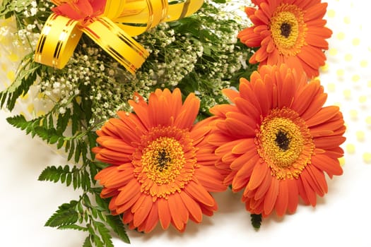 Bouquet of gerbera flowers isolated on white