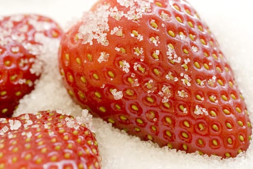 high key image of strawberries coated in sugar