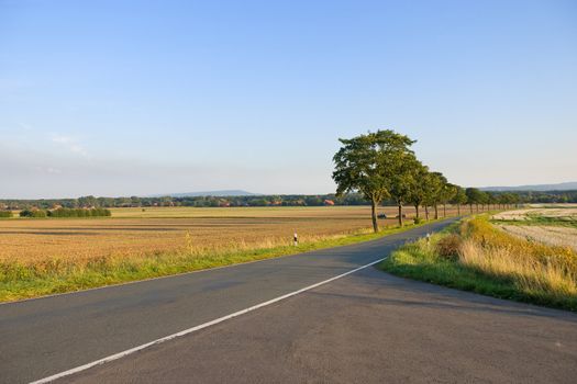 Asphalt road in a rural summer landscape