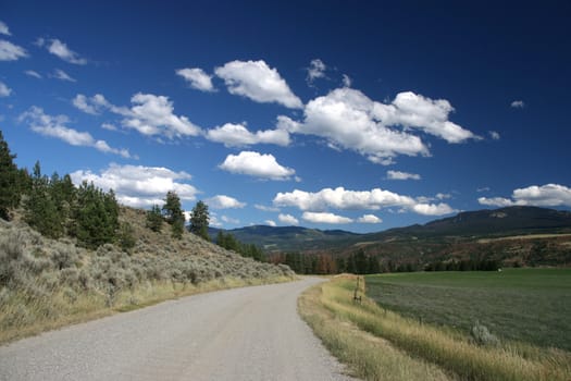 Thompson River Valley in Thompson-Nicola district of British Columbia (Canada) - beautiful landscape with gravel road