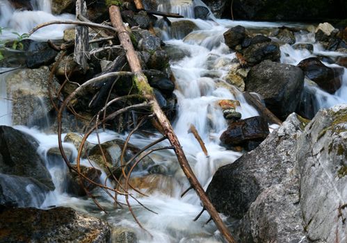 Picturesque stream in motion. Canada Rocky mountains, British Columbia.