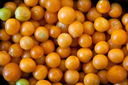 Close up on fresh Cape gooseberries