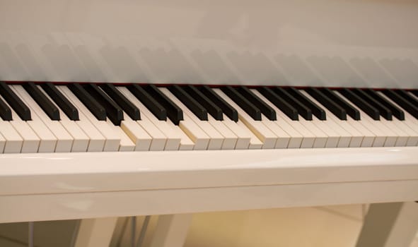 close-up self playing white piano keys