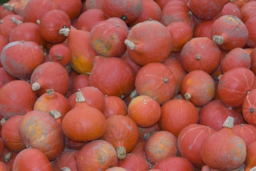 lots of pumpkins piled up