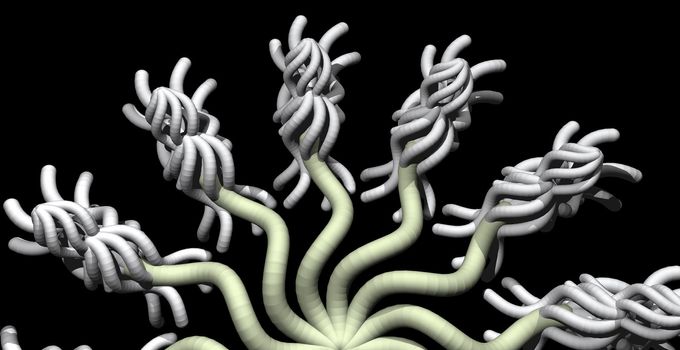 Abstract organic form on black background - 3d illustration