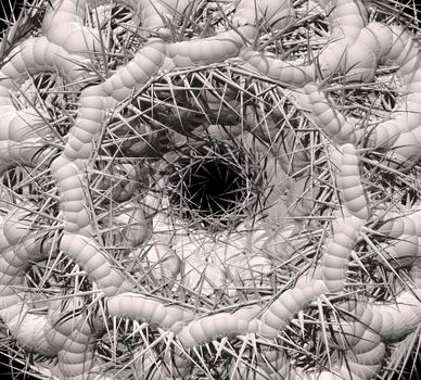 Abstract organic - 3d illustration