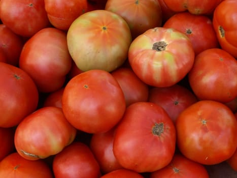 Ripe tomatoes at the farmers market