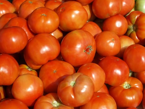 Ripe tomatoes at the farmers market