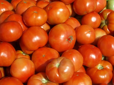 Ripe tomatoes at the farmers market