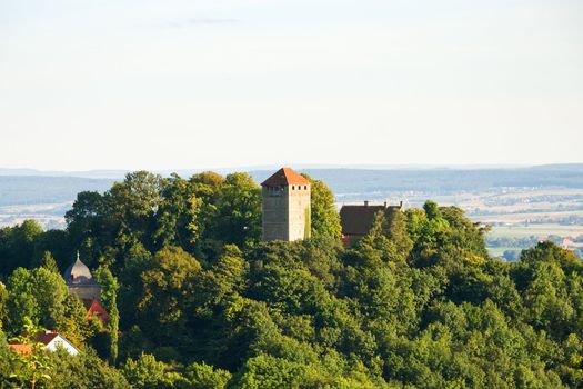 Old Castle in a Forest on the Hill