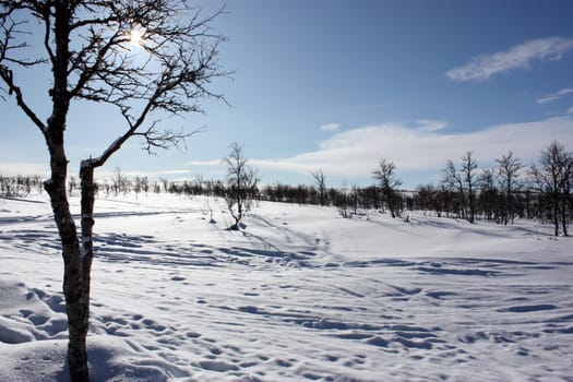 snowy mountain