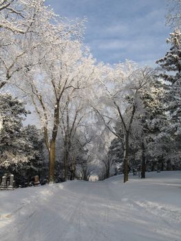 snowed road