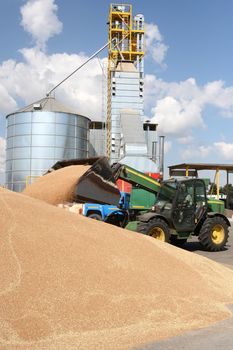 Grain loading on a farm a tractor warehouse