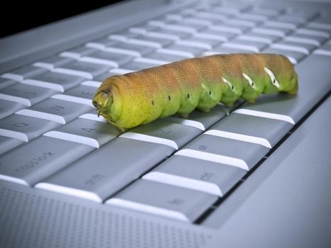Macro shot of a caterpillar over a computer keyboard.
