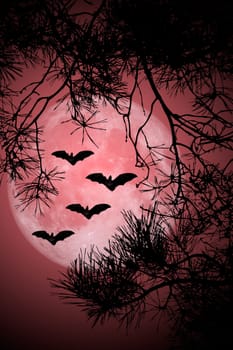 This image shows flying bats in a halloween night with full moon