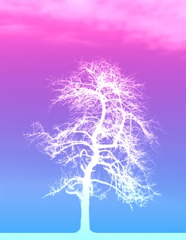 This image shows a white tree with colored background