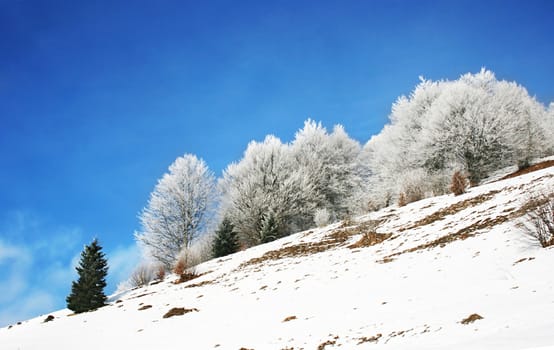 winter landscape against deep blue sky with fluffy clouds