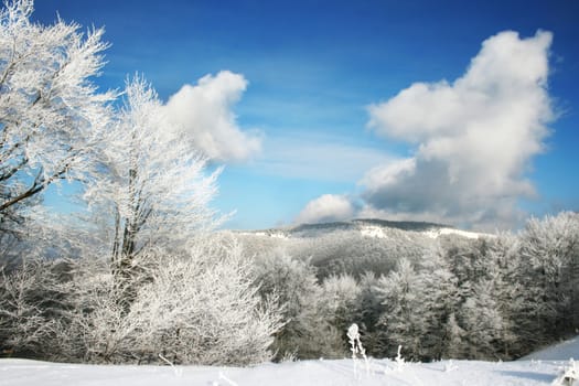 winter landscape with a mountains and a snow-covered tree