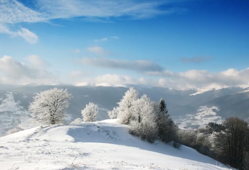  winter landscape with a mountains and a snow-covered tree