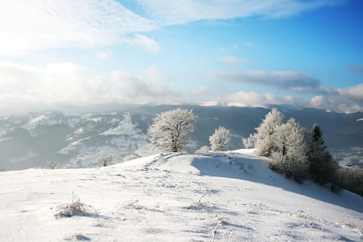 winter landscape with a mountains and a snow-covered tree