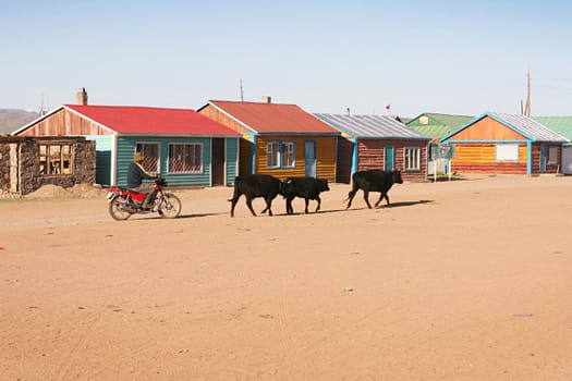 Traditional mongolian village in the sunshine day