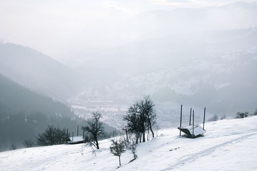 winter landscape with a clouds and a snow-covered trees