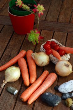 a mix of organic food representing a healthy diet