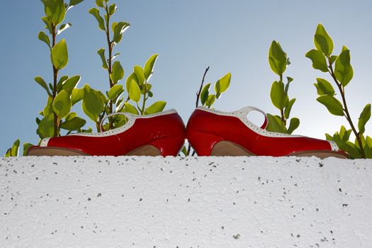 red high heels on a white wall with nature background