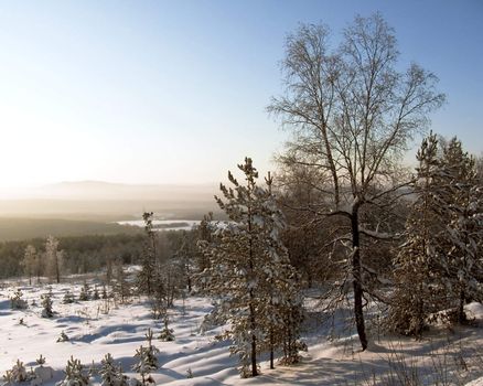 Ural Mountains. Winter landscape. Snow-covered trees. 