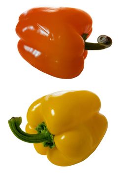 Vegetables. Sweet pepper. Isolation on white background.