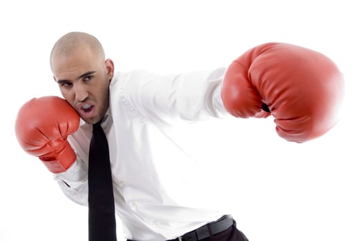 businessman in action wearing boxing gloves on an isolated background