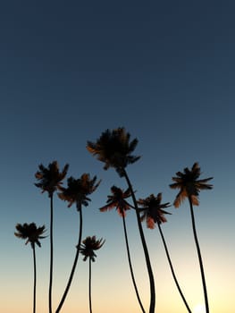 A set of palm tress with a sky background. 