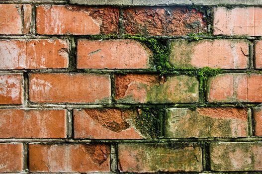 old red brick wall grown with grass and moss