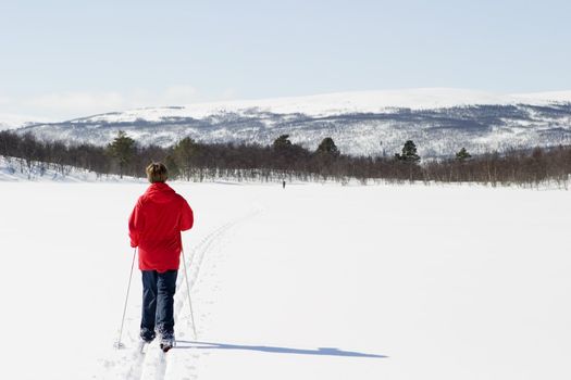 A skier on a wintery snow filled landscape.