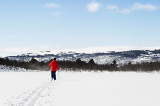 A skier on a wintery snow filled landscape.