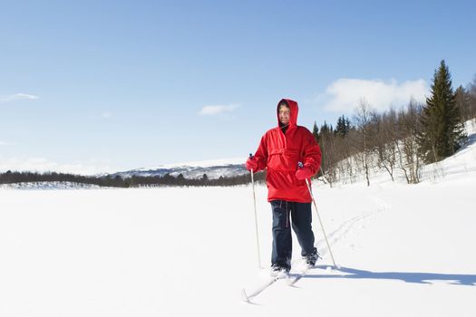 A skier on a wintery snow filled landscape.