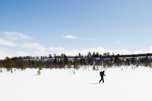 A skier on a wintery snow filled landscape.