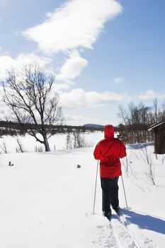 A skier on a wintery snow filled landscape.