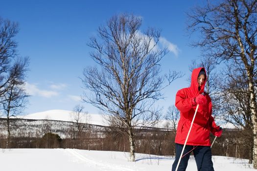 A skier on a wintery snow filled landscape.