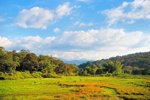 Beautiful view the green hills and distant blue mountains