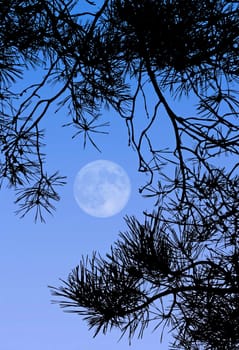 This image shows a full moon at day