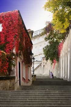 A small skinny street detail in the old town area of Prague, Czech Republic.