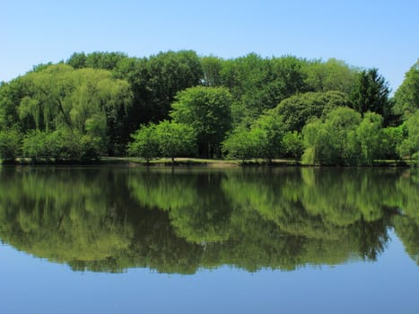 Seasonal summer scene with green trees reflecting in a blue pond